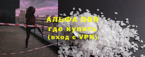 ГАЛЛЮЦИНОГЕННЫЕ ГРИБЫ Осташков