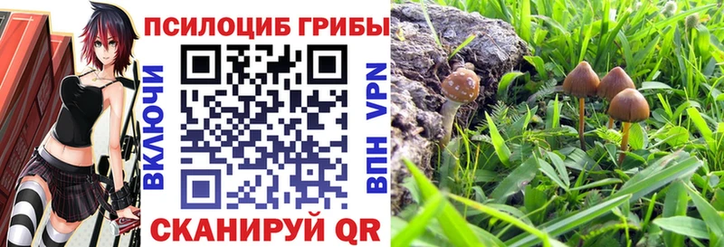 Галлюциногенные грибы мицелий  OMG ONION  Лысково 